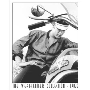 WERTHEIMER - ELVIS PRESLEY - Harley fémplakát, (31 x 40 cm)