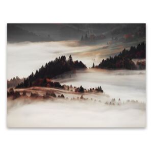 Vászon falikép, köd, 85x113 cm, fehér-sötétbarna - BRUME