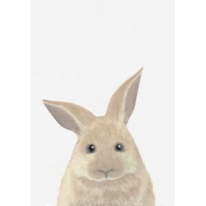 Rabbit, (85 x 128 cm)
