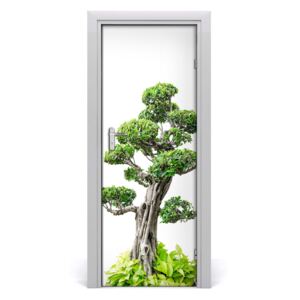 Ajtóposzter öntapadós bonsai fa 75x205 cm