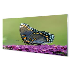 Akrilképek Színes pillangó virágok 100x50 cm
