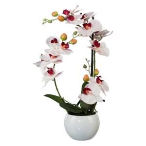 Mű orchidea kerámia virágtartóban, fehér, 42 cm