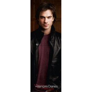 Plakát - Vampire Diaries Damon Salvatore (2)