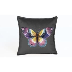 Butterfly Puro kétoldalas bársony párnahuzat, 45 x 45 cm - Surdic