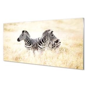 Akrilképek zebra box 125x50 cm