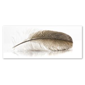 Glasspik Wings fali kép, 50 x 125 cm - Styler