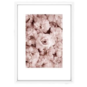 Bloom poszter fehér keretben, 33,5 x 23,5 cm - Piacenza Art