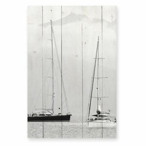 Nautica Fotografia borovi fenyő falitábla, 40 x 60 cm - Really Nice Things