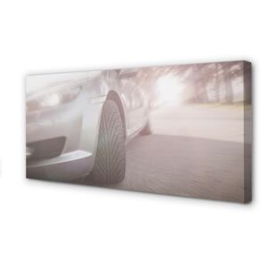 Canvas képek Ezüst autó utcai fa 100x50 cm