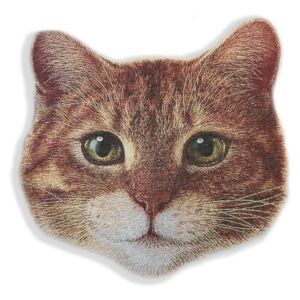 Cat Face díszpárna, 45 x 45 cm - Really Nice Things