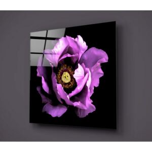 Calipsa Purple fekete-lila üvegezett kép, 30 x 30 cm - Insigne