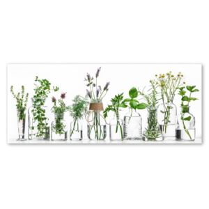 Glasspik Herbs kép, 30 x 80 cm - Styler