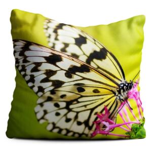 Butterfly zöld díszpárna, 40 x 40 cm - Oyo home