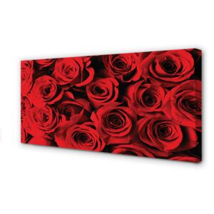 Canvas képek Roses 100x50 cm