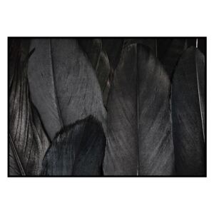 Feathers Black plakát, 50 x 40 cm - DecoKing