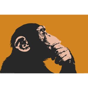 Majmok - Thinking Plakát, (91,5 x 61 cm)