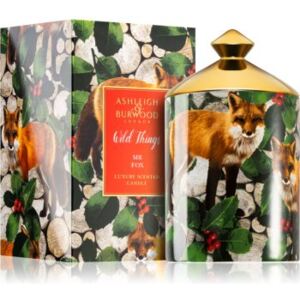 Ashleigh & Burwood London Wild Things Mr Fox illatos gyertya 320 g