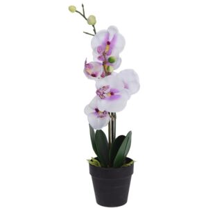 Mű orchidea virágtartóban, fehér, 47 cm