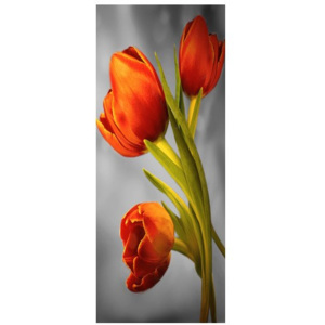 Nyomatos roletta Vörös tulipánok 61x150cm FR3383A_1MA