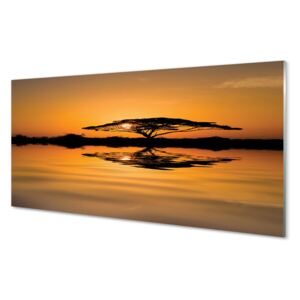 Konyhai üvegpanelek Sunset fa 100x50 cm