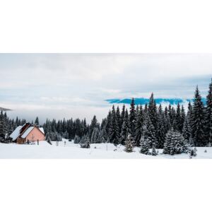 Kép faház faház hóval borított fenyők mellett