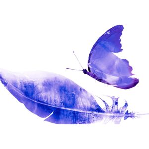 Kép toll és pillangó lila kivitelben