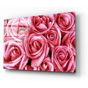 Pink Roses üvegezett kép - Insigne