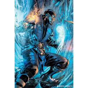 Plakát Mortal Kombat - Sub Zero, (61 x 91.5 cm)