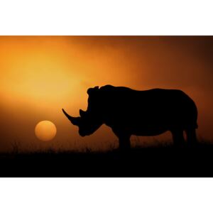 Exkluzív Művész Fotók Rhino Sunrise, Mario Moreno