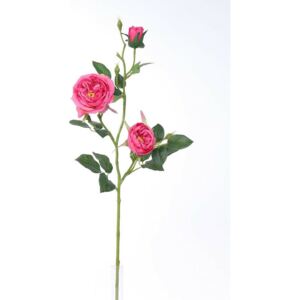Mű angol rózsa, rózsaszín, 69 cm