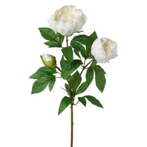 Mű bazsarózsa, fehér, 70 cm