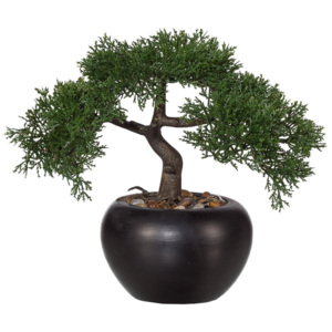 Cédrus műbonsai, 26 cm