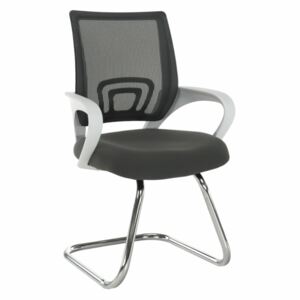 Tágyaló szék, szürke|fehér, SANAZ TYP 3
