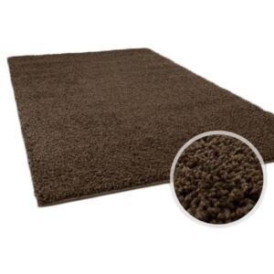 Shaggy Russel barna szőnyeg 120x170 cm