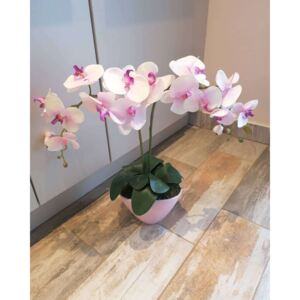 Rózsaszín fehér orchidea dekor
