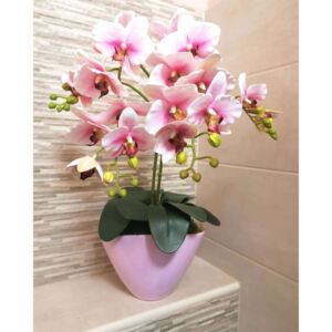 Rózsaszín orchidea dekor