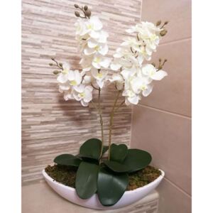 Csónak kaspós orchidea fehér színű virággal(mű)