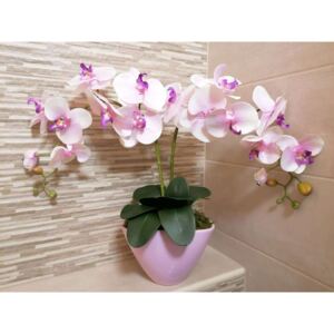 Rózsaszín orchidea prémium minőségű
