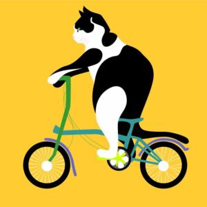 Huntley, Claire - Cat on a Brompton Bike Festmény reprodukció