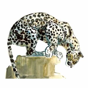 Adlington, Mark - Spine (Arabian Leopard), 2015, Festmény reprodukció