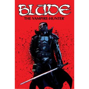 Plakát Blade - The Vampire Hunter, (61 x 91.5 cm)