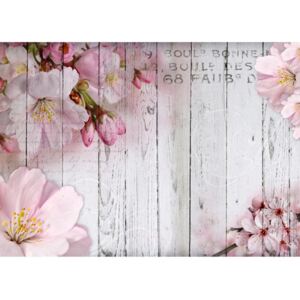 Apple Blossoms nagyméretű tapéta, 350 x 245 cm - Bimago