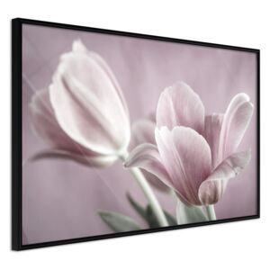Bimago Pastel Tulips I - keretezett kép 60x40 cm Fekete keret