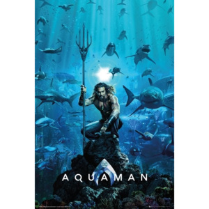 Aquaman - One Sheet Plakát, (61 x 91,5 cm)