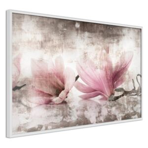Bimago Picked Magnolias - keretezett kép 60x40 cm Fehér keret