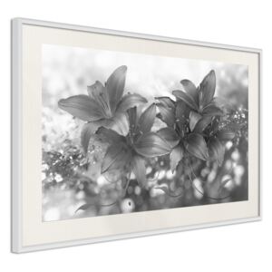 Bimago Dark Lillies - keretezett kép 60x40 cm Fehér keret paszpartu
