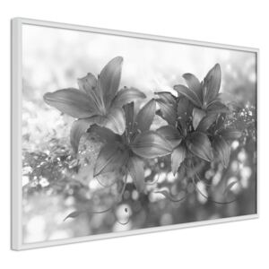 Bimago Dark Lillies - keretezett kép 60x40 cm Fehér keret