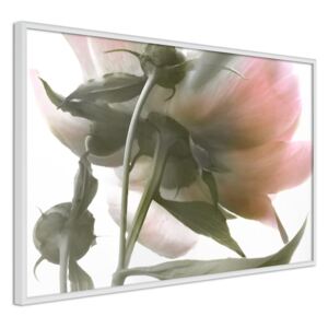 Bimago Under the Flower - keretezett kép 60x40 cm Fehér keret