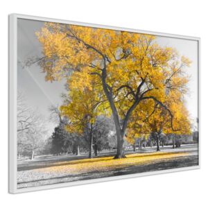 Bimago Golden Tree - keretezett kép 60x40 cm Fehér keret