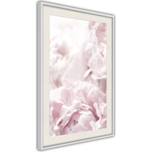 Bimago Joyful Morning - keretezett kép 40x60 cm Fehér keret paszpartu